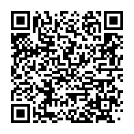 qrcode:http://infos241.com/gabon-4-trafiquants-d-ivoire-dont-un-multirecidiviste-arretes,11164