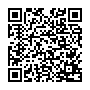qrcode:http://infos241.com/deja-francais-les-bongo-valentin-en-quete-de-passeport,10973