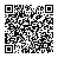 qrcode:http://infos241.com/gabon-africa-united-airlines-vole-au-secours-d-un-bebe-chimpanze,10795