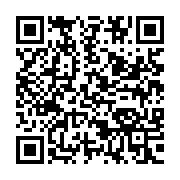 qrcode:http://infos241.com/82-ckilsenpensent-les-critiques-et-inquietudes-d-albert-ondo,9101