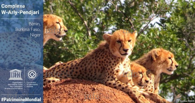 Le complexe W-Arly-Pendjari inscrit sur la liste du patrimoine mondial