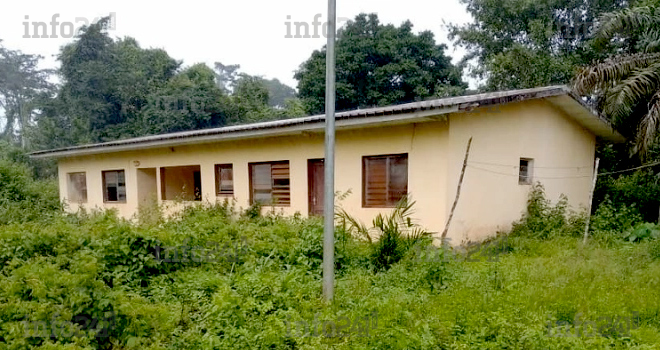 Gabon : Un dispensaire abandonné par son infirmier car hanté par de mystérieuses abeilles