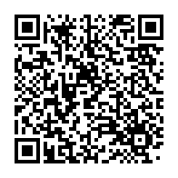 qrcode:https://infos241.com/future-constitution-du-gabon-perspectives-divergentes-sur-le,9273