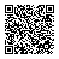 qrcode:https://infos241.com/ckilsenpensent-les-preparatifs-des-fetes-de-fin-d-annee-au-gabon,5580