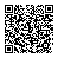 qrcode:https://infos241.com/ndemezo-obiang-de-retour-au-pdg-une-quete-du-confort-perdu-selon,5791